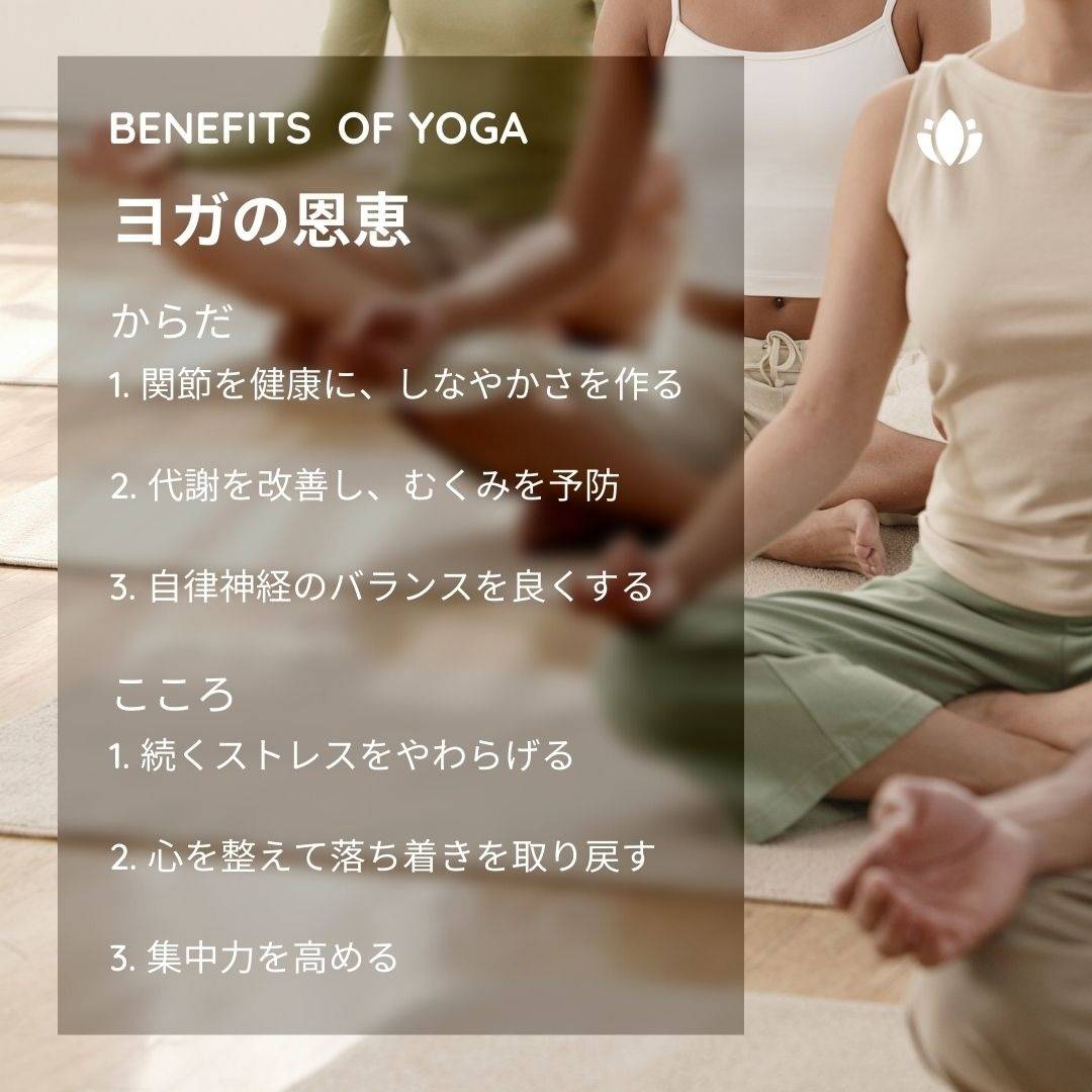 Paradise yoga & Fitness